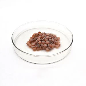 Finga antioxidant tmq 26780-96-1